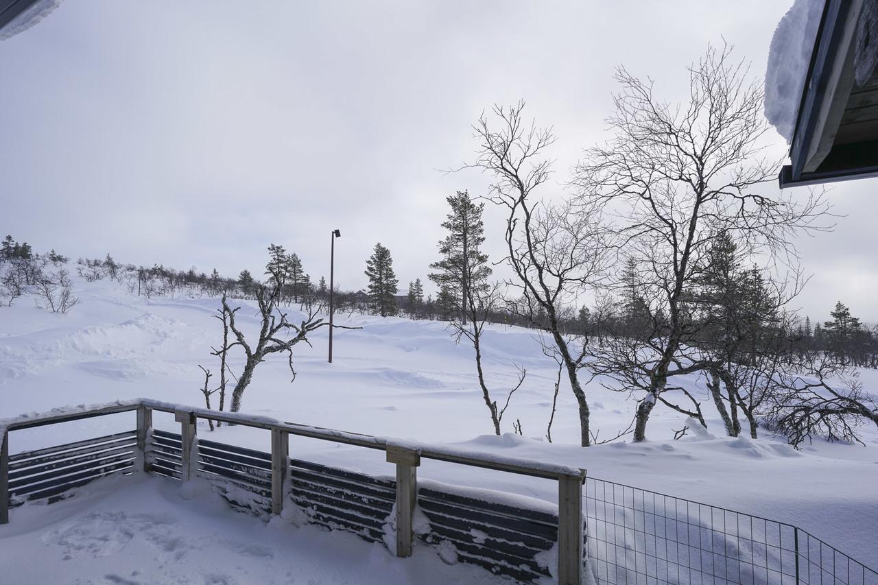 Sielikkoe Aurora Log Apartments サーリセルカ エクステリア 写真
