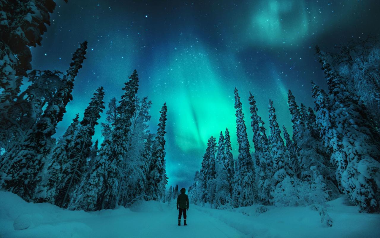 Sielikkoe Aurora Log Apartments サーリセルカ エクステリア 写真